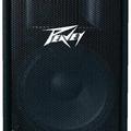 peavey_pv_ 215b1.jpg|Соляр Мар'ян 